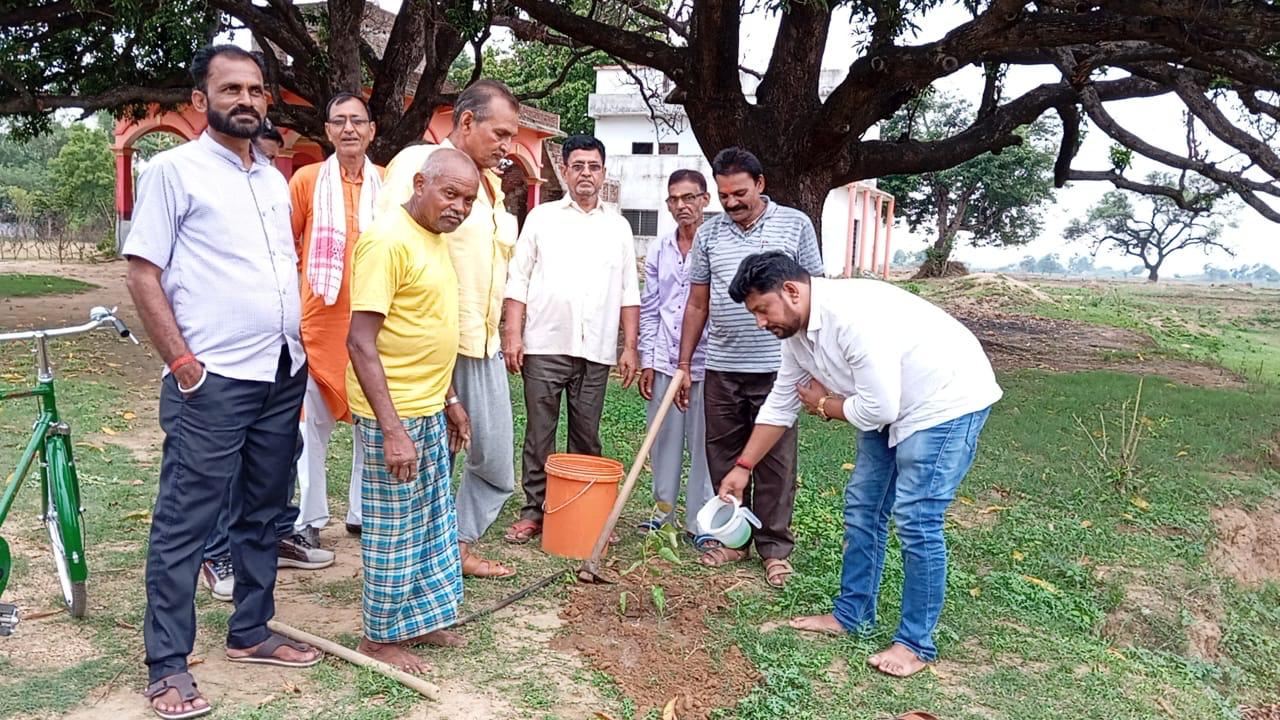 भाजपा नेता ने लगाया काली मंदिर परिसर में पिपल एवं आम का पेड़