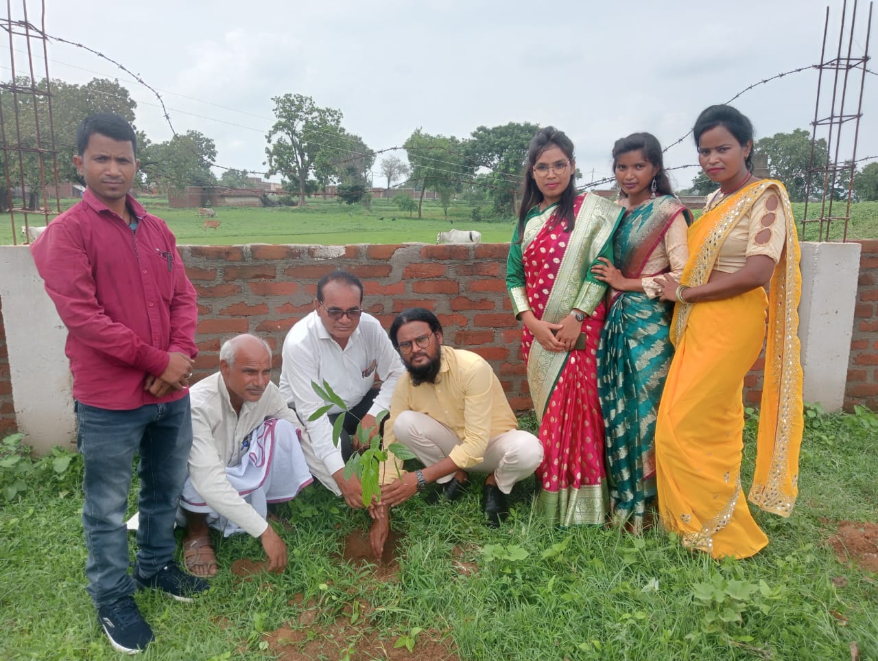 पाराडाईज पब्लिक स्कूल  मेराल में किया गया वृक्षारोपण