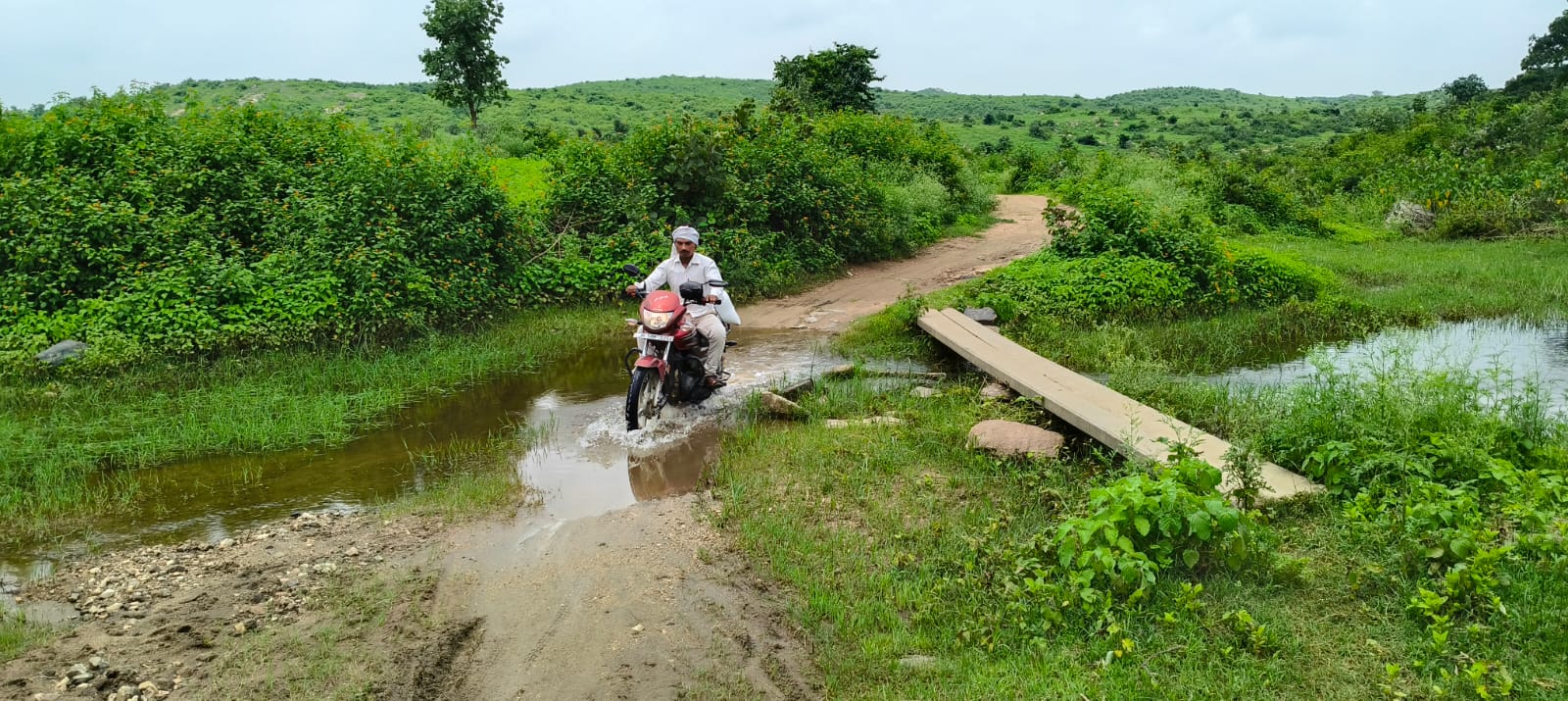 रमना गुरही नाला पर पुल की व्यवस्था नहीं रहने से ग्रामीणों के साथ-साथ स्कूल जाने वाले परेशान है