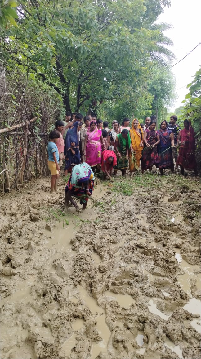 करकटा में जर्जर सड़क पर धनरोपनी कर ग्रामीणों ने जताया  विरोध