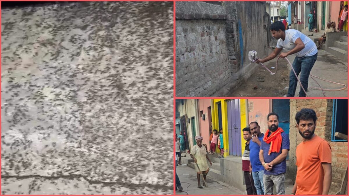 नगर परिषद की निष्क्रियता के बीच ‘टीम दिल का दौलत’ बनी जनता की उम्मीद