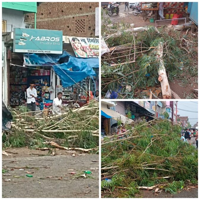 बंशीधर नगर में आंधी-तूफान से लिप्टस का पेड़ गिरा, एनएच-75 पर यातायात बाधित, फल विक्रेता को भारी नुकसान
