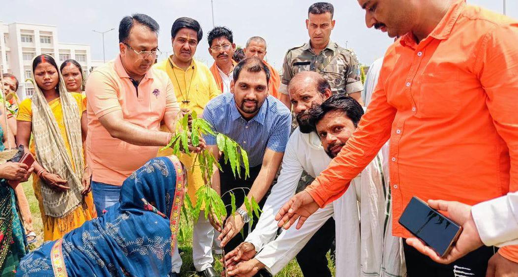 विश्व पर्यावरण दिवस पर डीसी ने किया पौधारोपण, कहा — यह उत्सव नहीं, प्रकृति से जुड़ाव की प्रतिज्ञा है