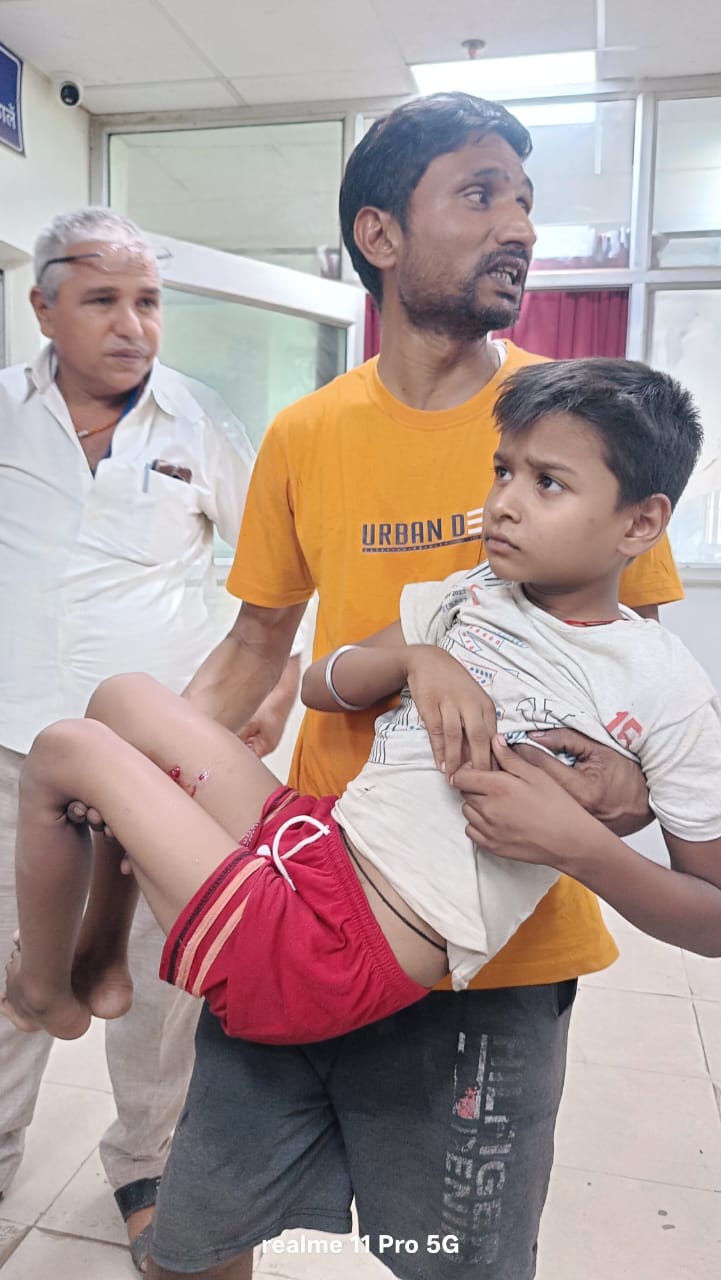 पागल कुत्ता के काटने से 10 वर्षीय बच्चा घायल,हालत गंभीर