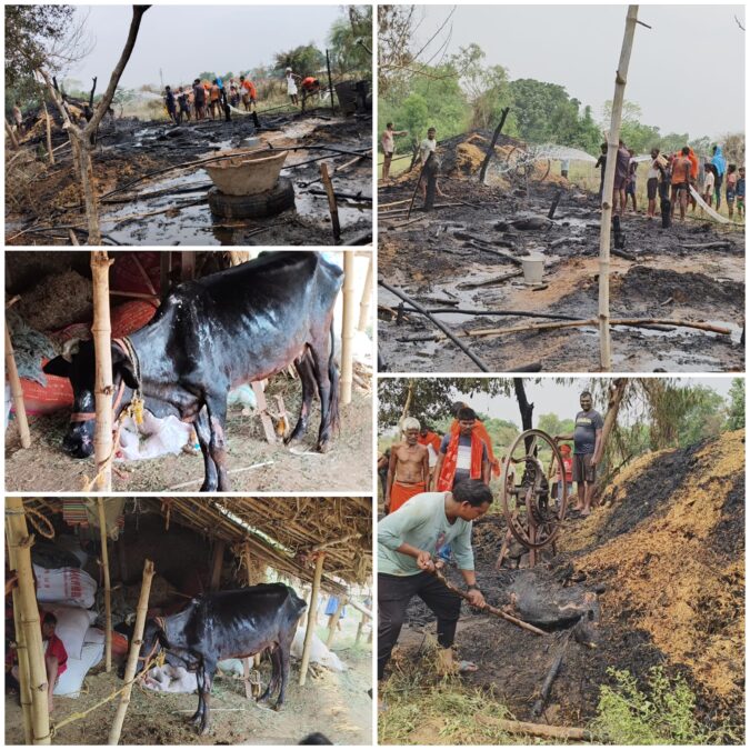 कांडी में झोपड़ी में लगी आग से दो बछड़ों की मौत, लाखों की संपत्ति जलकर राख