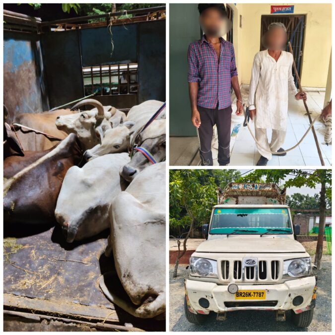 गोपनीय सूचना पर कार्रवाई: मझिआंव में पिकअप वाहन से अवैध रूप से गोवंश ले जाते दो गिरफ्तार, एक फरार