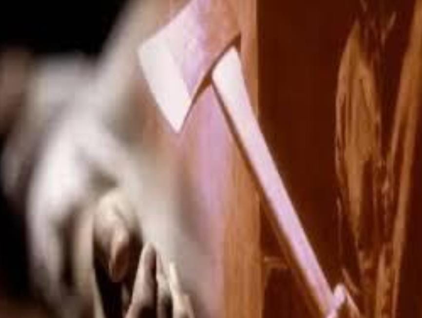 आपसी विवाद में टांगी से गला काटकर की पत्नी की हत्या, आरोपी गिरफ़्तार