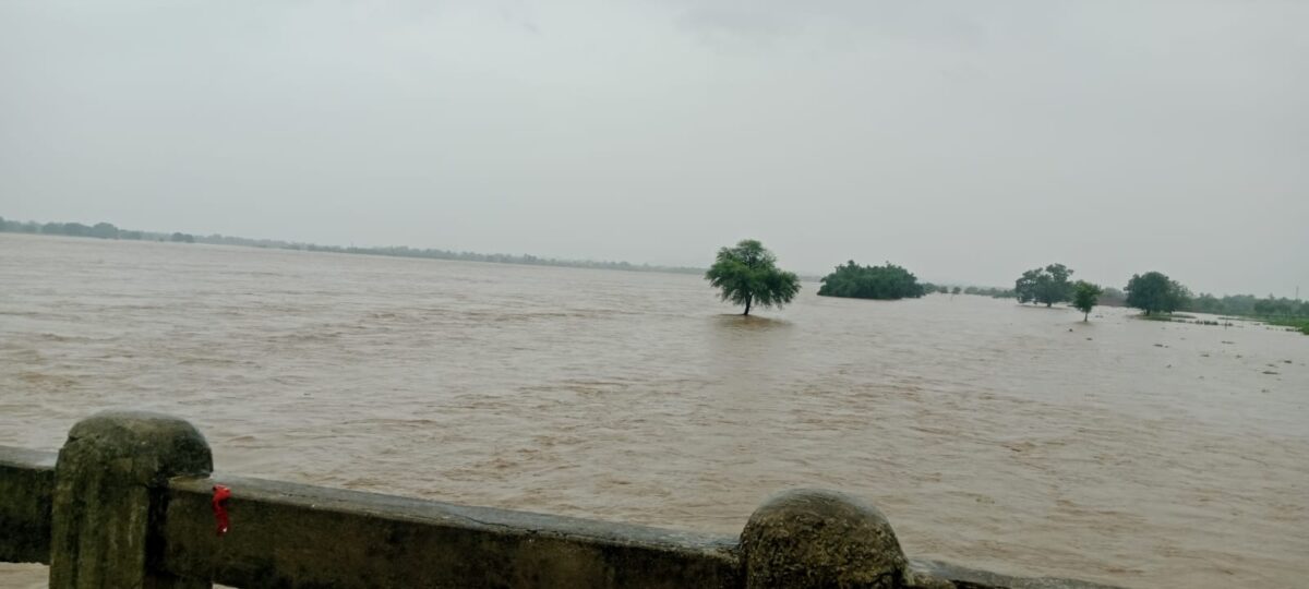 कोयल नदी उफान पर: पुल के ऊपर से बह रहा पानी, नगर के कई वार्ड जलमग्न