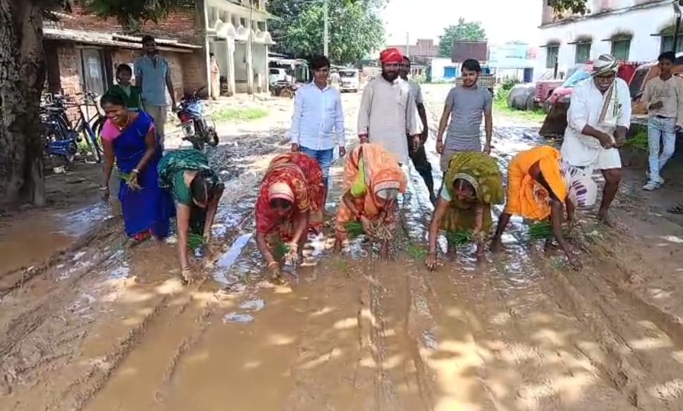 बरडीहा में कीचड़ से परेशान ग्रामीणों ने सड़क पर की धान रोपनी, जताया आक्रोश