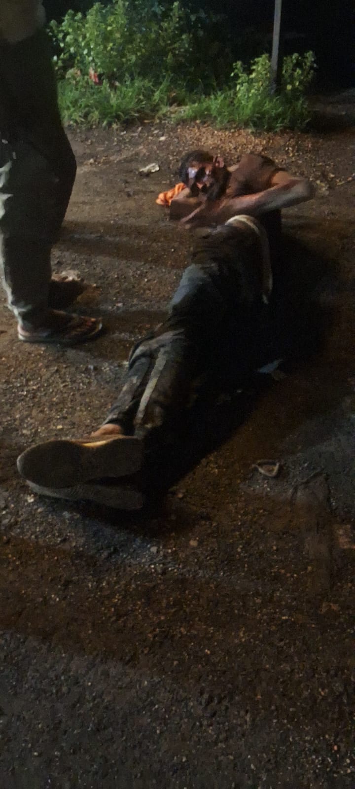 सड़क पर लावारिस पशुओं का जमावड़ा,राहगीर हो रहे है दुर्घटना का शिकार