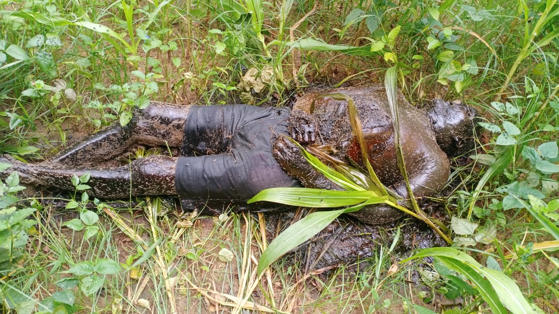 कमरमा गांव में लापता बुजुर्ग का छत-विक्षत शव बरामद, मौत पर रहस्य कायम