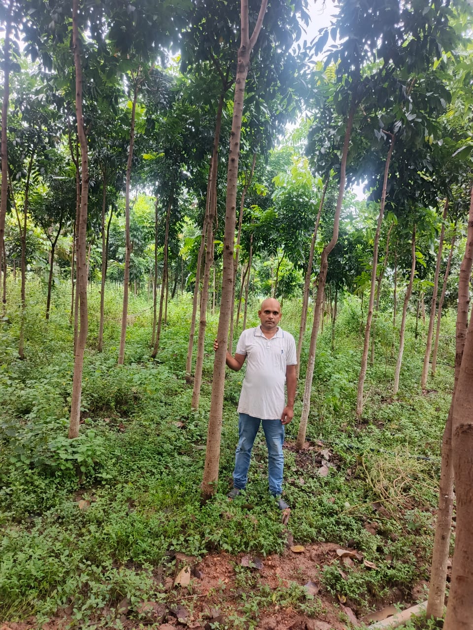 251 चंदन के पौधे लगाकर विकास पाठक ने पेश की मिसाल