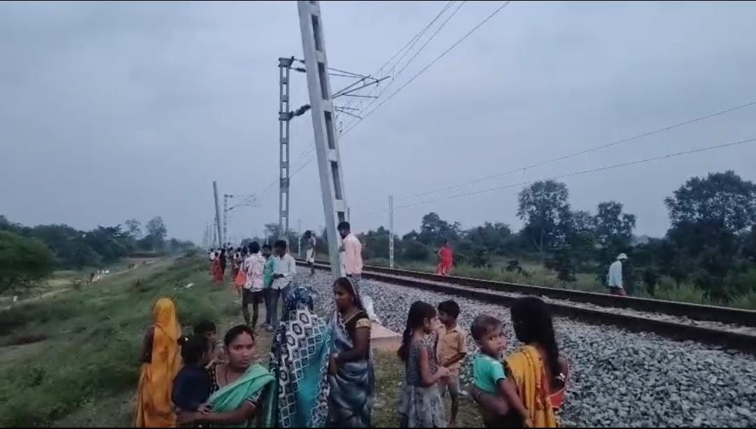 रेलवे ट्रैक पर महिला व दो पशुओं की मौत
