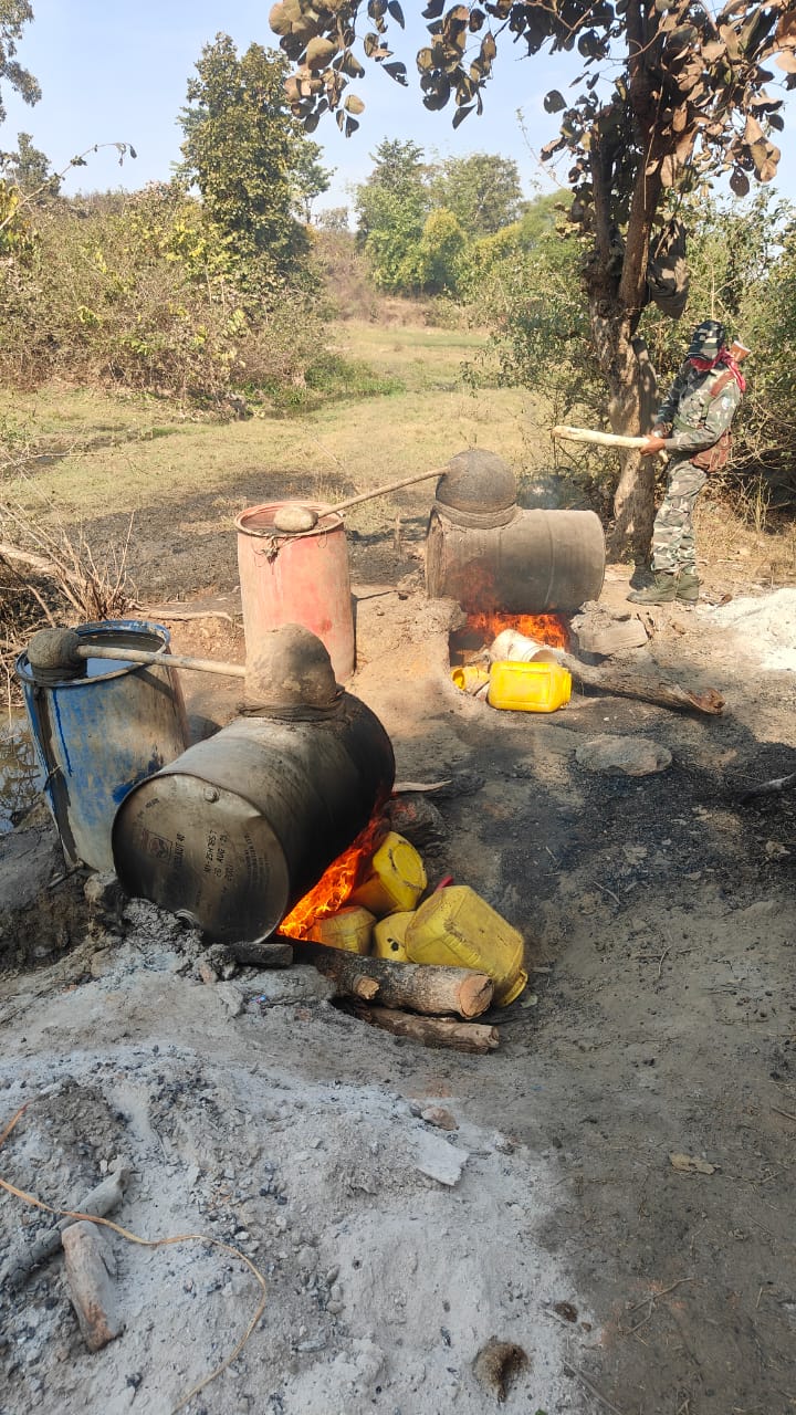 मेराल थाना क्षेत्र में अवैध महुआ शराब के खिलाफ छापामारी, 12 क्विंटल जावा महुआ किया गया विनष्ट