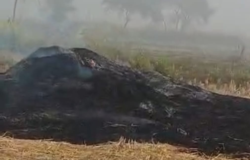 अज्ञात लोगों ने पुआल के ढेर में लगाई आग, 18 क्विंटल धान का पुआल जलकर राख