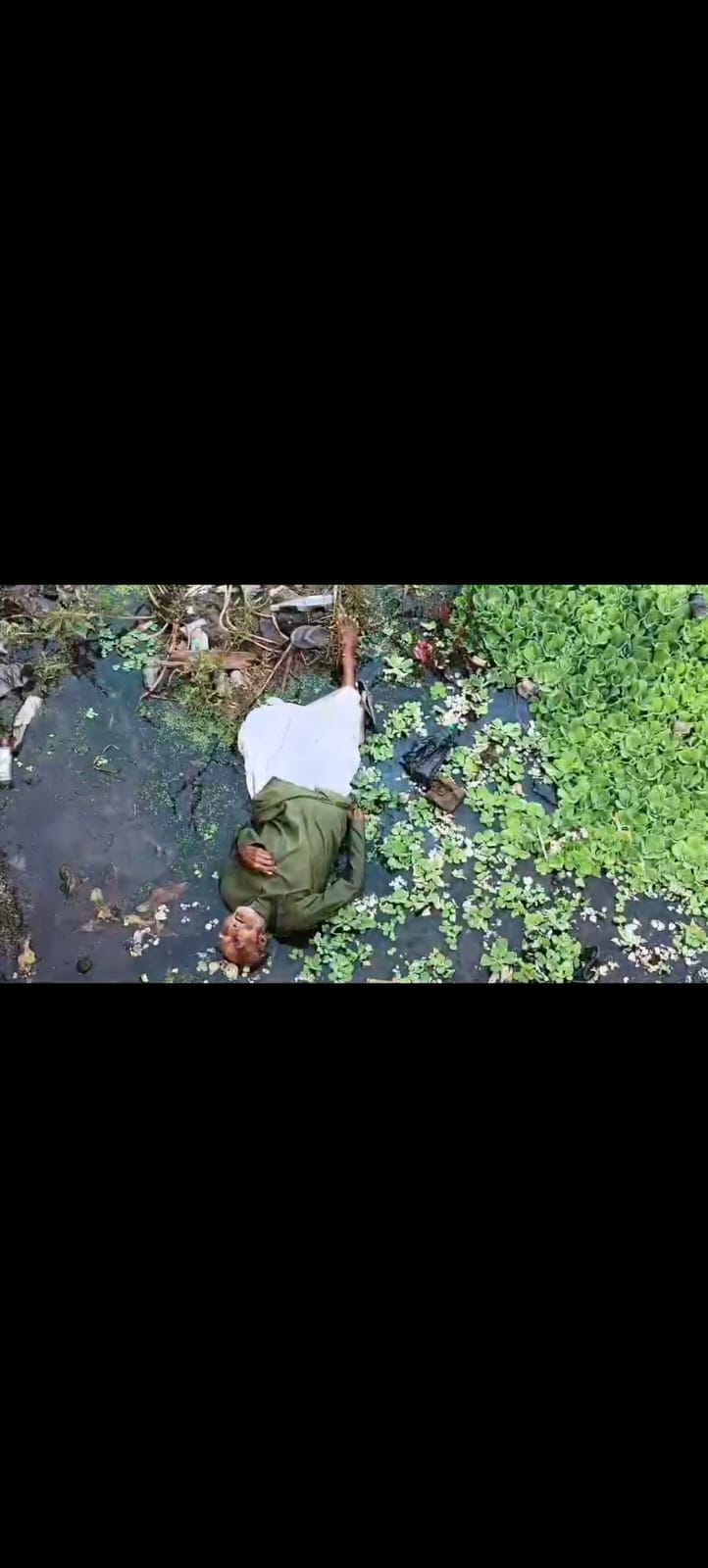 रक्शा पुल के नीचे मिला बुजुर्ग का शव, इलाके में सनसनी