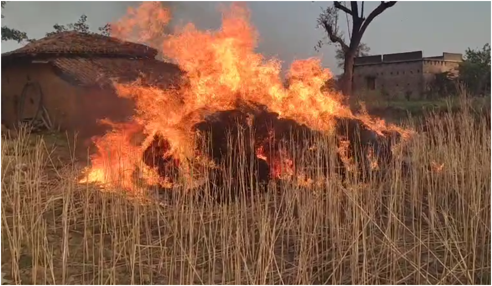 रोहीनिया बासनी में भीषण आग से एक बीघा गेहूं जलकर राख, मुआवजे का आश्वासन
